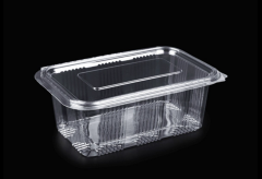 2000gr sızdırmaz peynir kuruyemiş tatlı gıda kabı